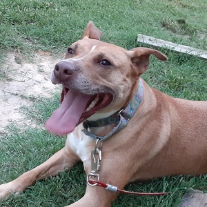 Fundraising Page: John Brewer